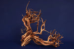 Redwood Etosha Tree, Aquarium Wurzel, Nano, Exklusiv, ET40