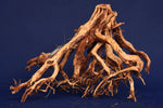 etosha-tree-aquarium-wurzel-redwood-et42