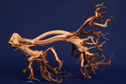 etosha-tree-aquarium-wurzel-redwood-et47