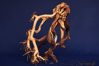 etosha-tree-aquarium-wurzel-redwood-et57