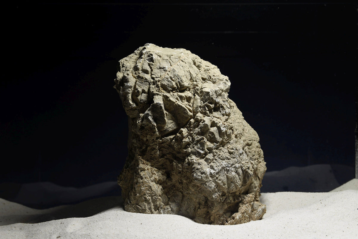 Geo Rock / Geo Stone - exklusives Schaustück #013 – daw-aquaristik