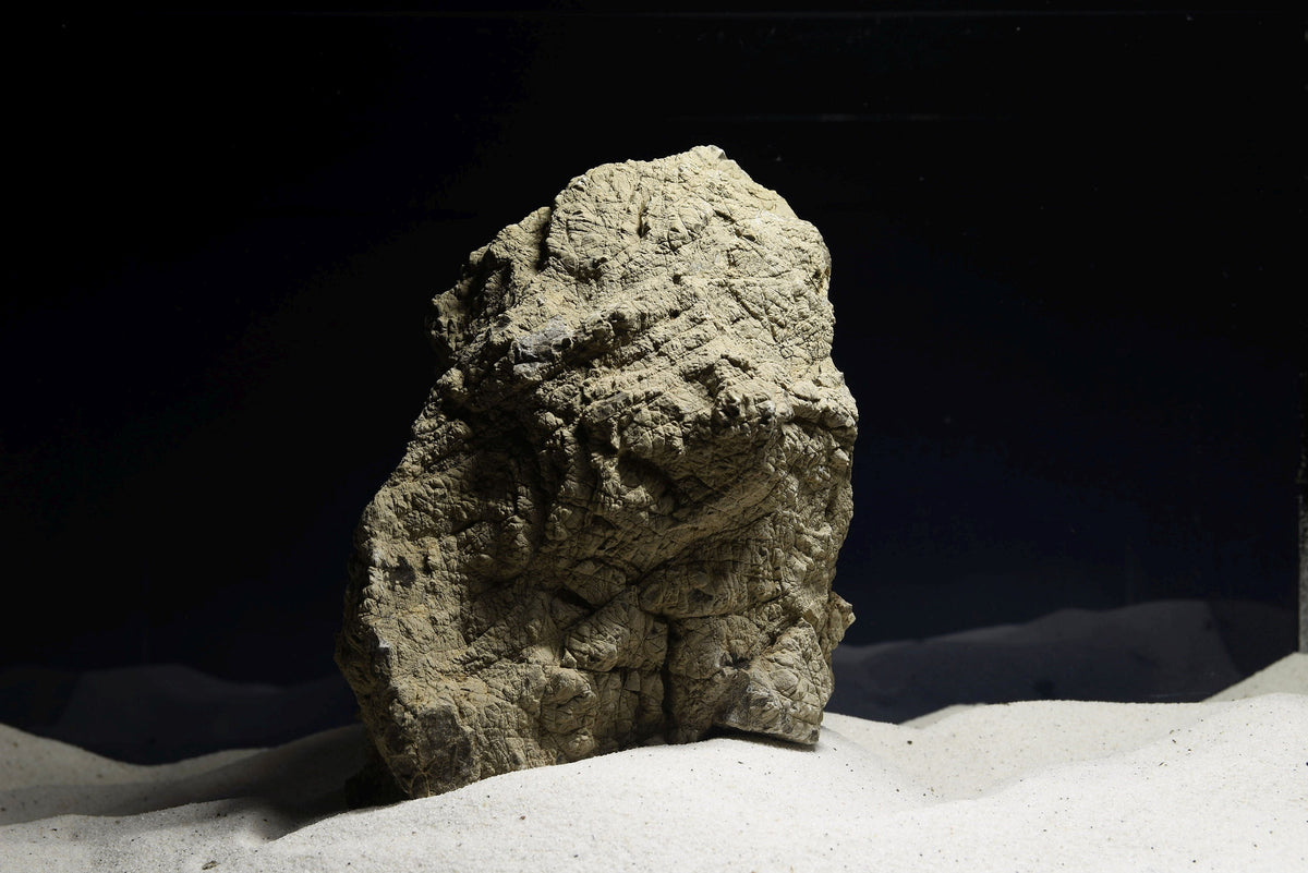 Geo Rock / Geo Stone - exklusives Schaustück #013 – daw-aquaristik