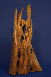 Mangrovenholz, Mangrovenwurzel, Größe "L", Premium, MG608