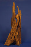 Mangrovenholz, Mangrovenwurzel, Größe "L", Premium, MG608