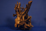 Mangrovenholz, Mangrovenwurzel, Größe "L", Premium, MG610