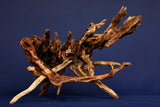 Slim wood / Scaperwood exquisite / Aquarium root 16