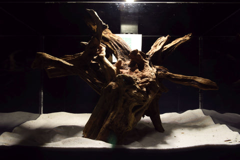slim-wood-aquarium-wurzel-kaufen-154a