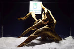 Slim Wood / Scaperwood / Aquarium Wurzel 201