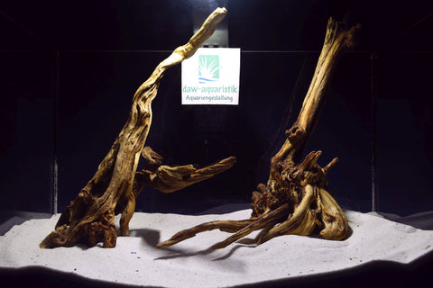 slim-wood-aquarium-wurzel-kaufen-203