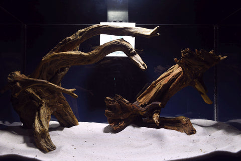 slim-wood-aquarium-wurzel-kaufen-204