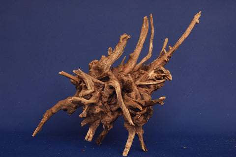 slim-wood-aquarium-wurzel-kaufen-279