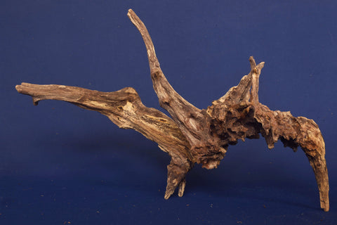 slim-wood-aquarium-wurzel-kaufen-284