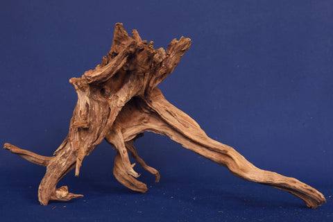 slim-wood-aquarium-wurzel-kaufen-285