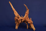 slim-wood-aquarium-wurzel-kaufen-294