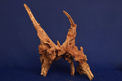 slim-wood-aquarium-wurzel-kaufen-294
