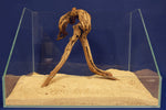 Slim Wood / Scaperwood / Aquarium Wurzel 295