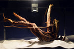 Slim Wood / Scaperwood / Aquarium Wurzel 297b