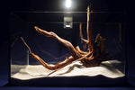 Slim Wood / Scaperwood / Aquarium Wurzel 297b