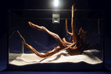 Slim Wood / Scaperwood / Aquarium Wurzel 297b