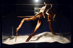 Slim Wood / Scaperwood / Aquarium Wurzel 297b