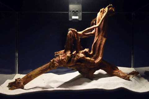 slim-wood-aquarium-wurzel-kaufen-299(2)
