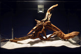 Slim Wood / Scaperwood / Aquarium Wurzel 299b