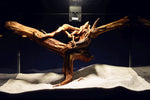 Slim Wood / Scaperwood / Aquarium Wurzel 299b