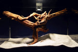 Slim Wood / Scaperwood / Aquarium Wurzel 299b