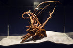 slim-wood-aquarium-wurzel-kaufen-300
