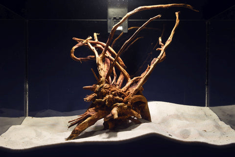 slim-wood-aquarium-wurzel-kaufen-300