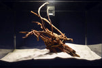 Slim Wood / Scaperwood / Aquarium Wurzel 300