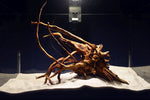 Slim Wood / Scaperwood / Aquarium Wurzel 300