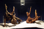 slim-wood-aquarium-wurzel-kaufen-301