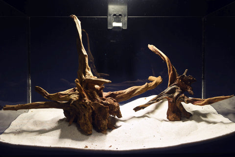 slim-wood-aquarium-wurzel-kaufen-304