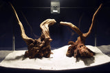 slim-wood-aquarium-wurzel-kaufen-306