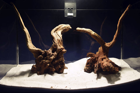 slim-wood-aquarium-wurzel-kaufen-306