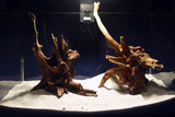 slim-wood-aquarium-wurzel-kaufen-307