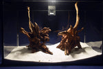 Aquascaping Layout- Aquarium Landschaft, Slim Wood / Scaperwood #307