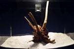 slim-wood-aquarium-wurzel-kaufen-308