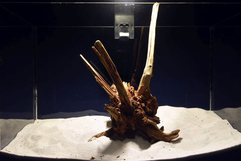 slim-wood-aquarium-wurzel-kaufen-308