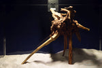 Slim Wood / Scaperwood / Aquarium Wurzel 308