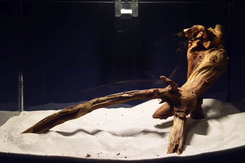 slim-wood-aquarium-wurzel-kaufen-309