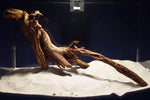 Slim Wood / Scaperwood / Aquarium Wurzel 309