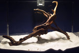 Slim Wood / Scaperwood / Aquarium Wurzel 310
