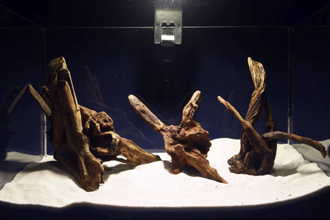 slim-wood-aquarium-wurzel-kaufen-311