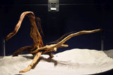 slim-wood-aquarium-wurzel-kaufen-312