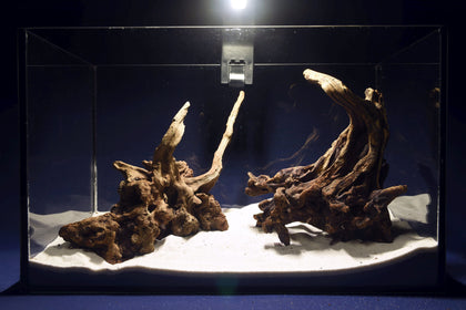 slim-wood-aquarium-wurzel-kaufen-314