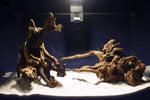 Aquascaping Layout- Aquarium Landschaft, Slim Wood / Scaperwood #314