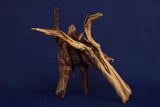 Slim Wood / Scaperwood / Aquarium Wurzel 324