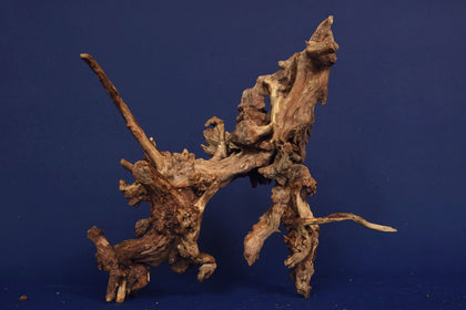 slim-wood-aquarium-wurzel-kaufen-332